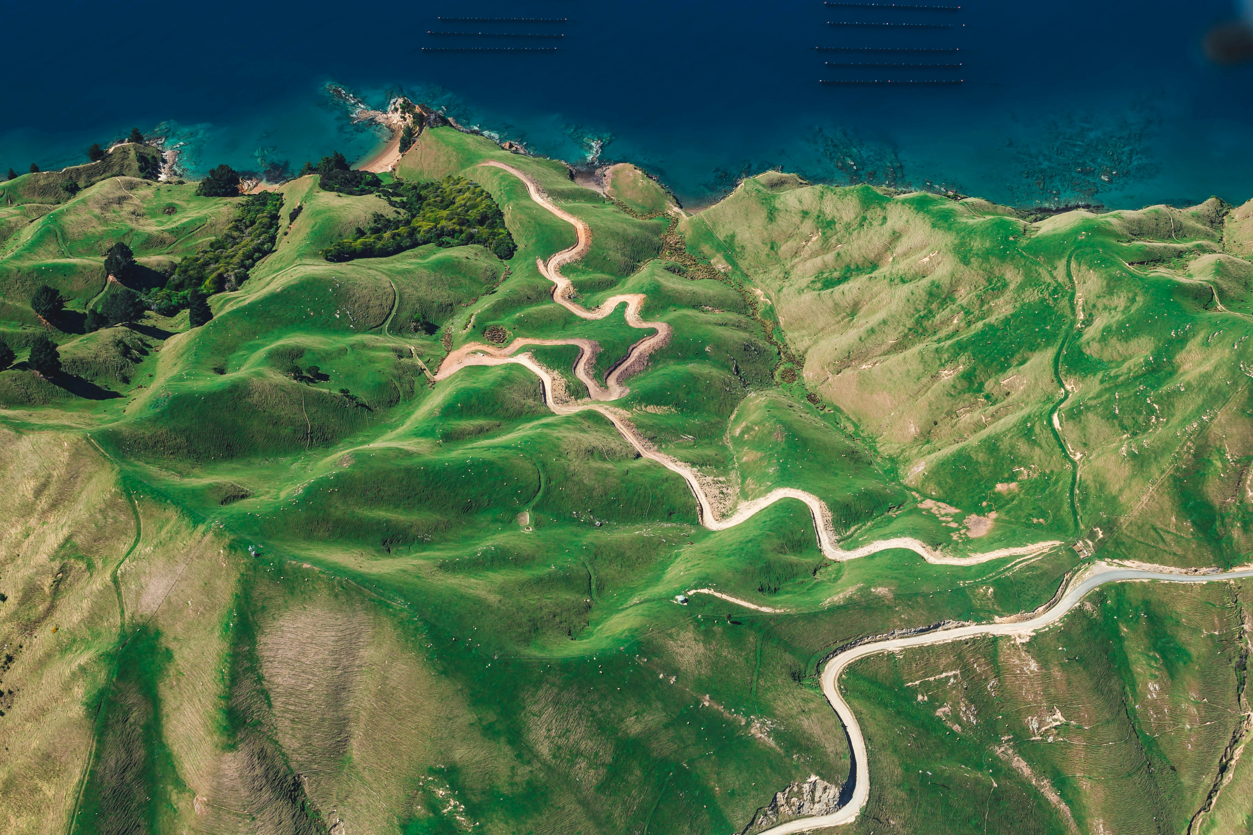 An eye-catching landscape of green.